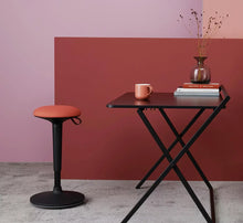 Lade das Bild in den Galerie-Viewer, Köhl IWO Steh- und Sitzhilfe
